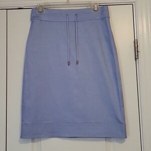 Etcetera beautiful blue A-line skirt